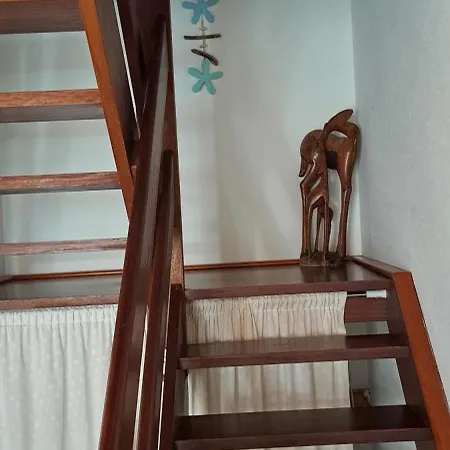 Paraiso 46 아파트